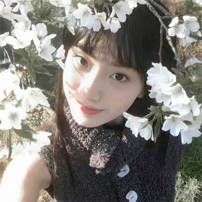 钢琴之森第一季